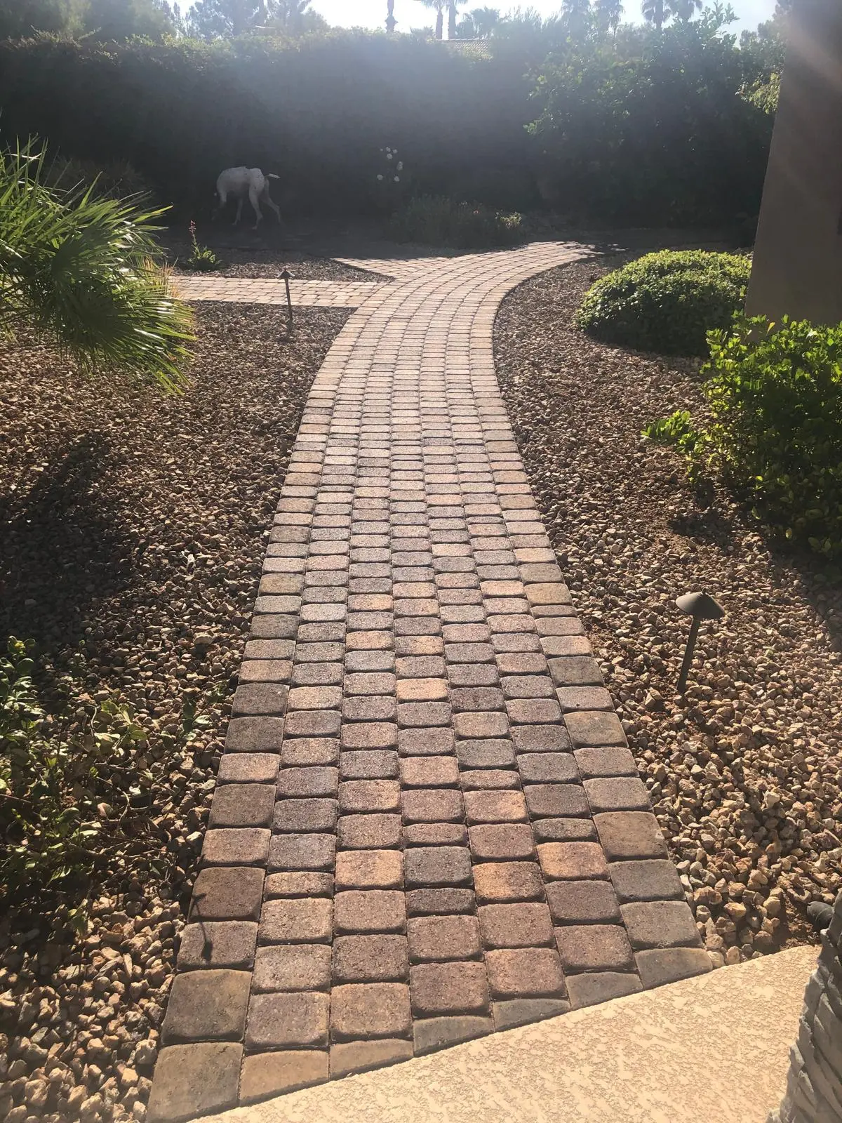 Paver walkway in Las Vegas with a contrasting paver border